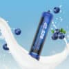 Whipbester 640G Blueberries Nitrous Oxide Tanks Whip Cream Chargers - Image 4